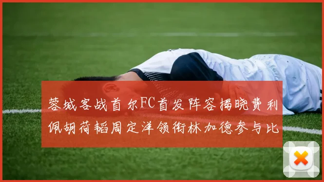 蓉城客战首尔FC首发阵容揭晓费利佩胡荷韬周定洋领衔林加德参与比赛