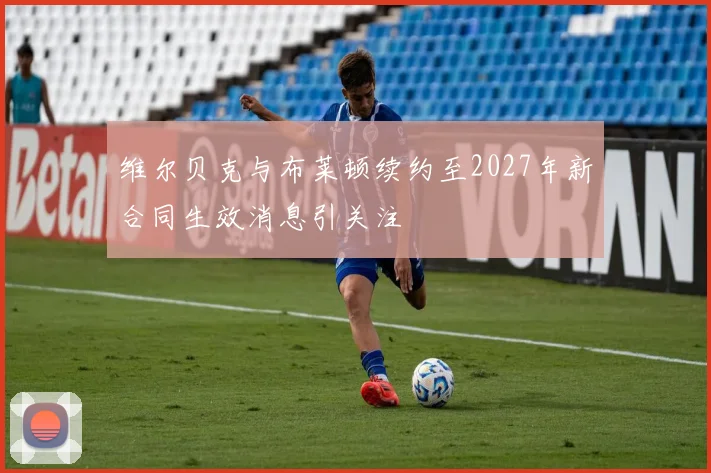 维尔贝克与布莱顿续约至2027年新合同生效消息引关注