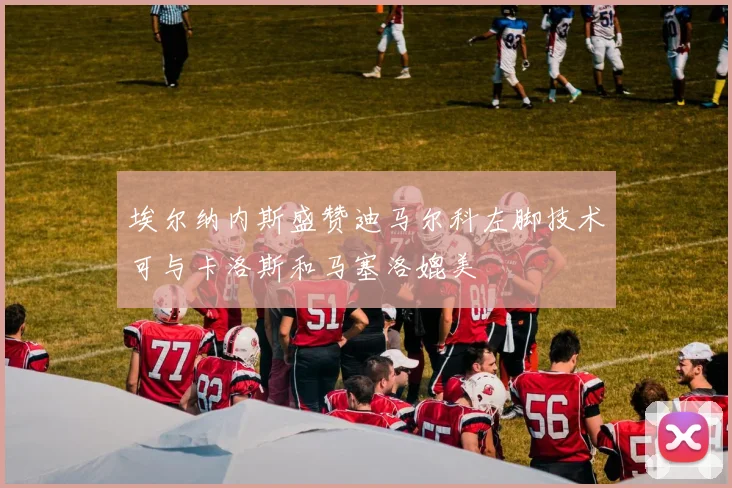 埃尔纳内斯盛赞迪马尔科左脚技术可与卡洛斯和马塞洛媲美