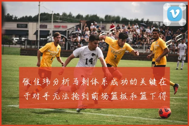 张佳玮分析马刺体系成功的关键在于对手无法抢到前场篮板和篮下得分困难