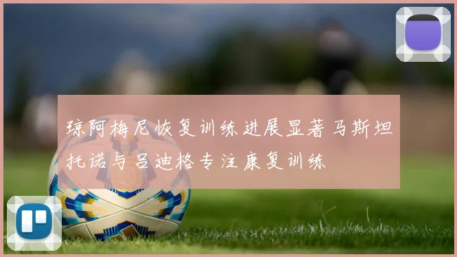 琼阿梅尼恢复训练进展显著马斯坦托诺与吕迪格专注康复训练